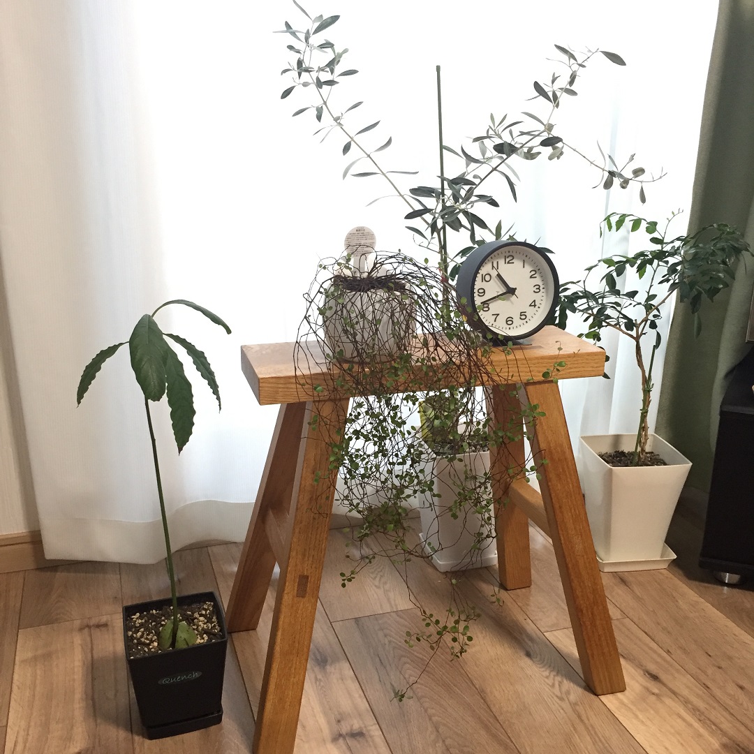 私の使い方