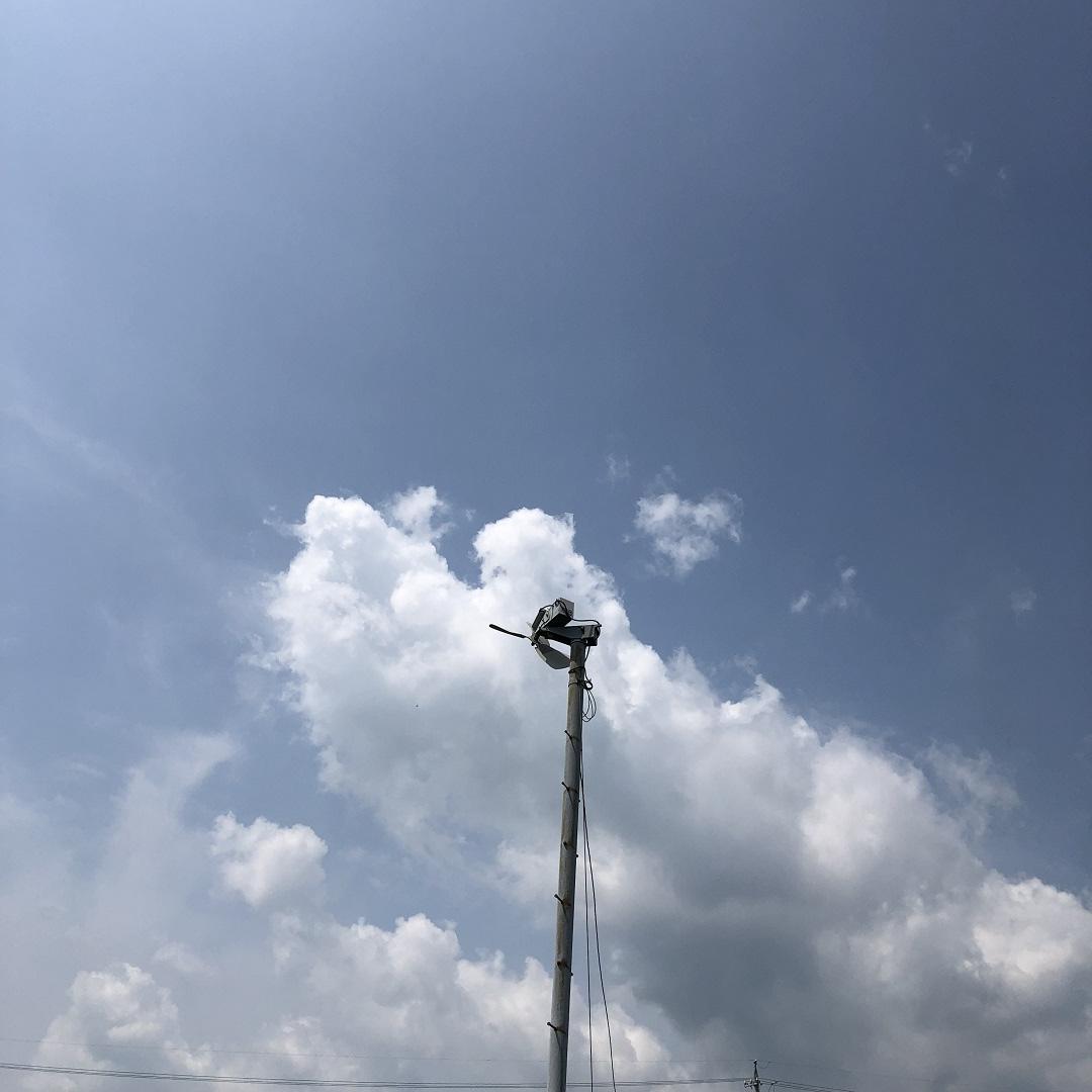 アピタ島田 茶畑の扇風機と無印良品のサーキュレーター スタッフのおすすめ 無印良品