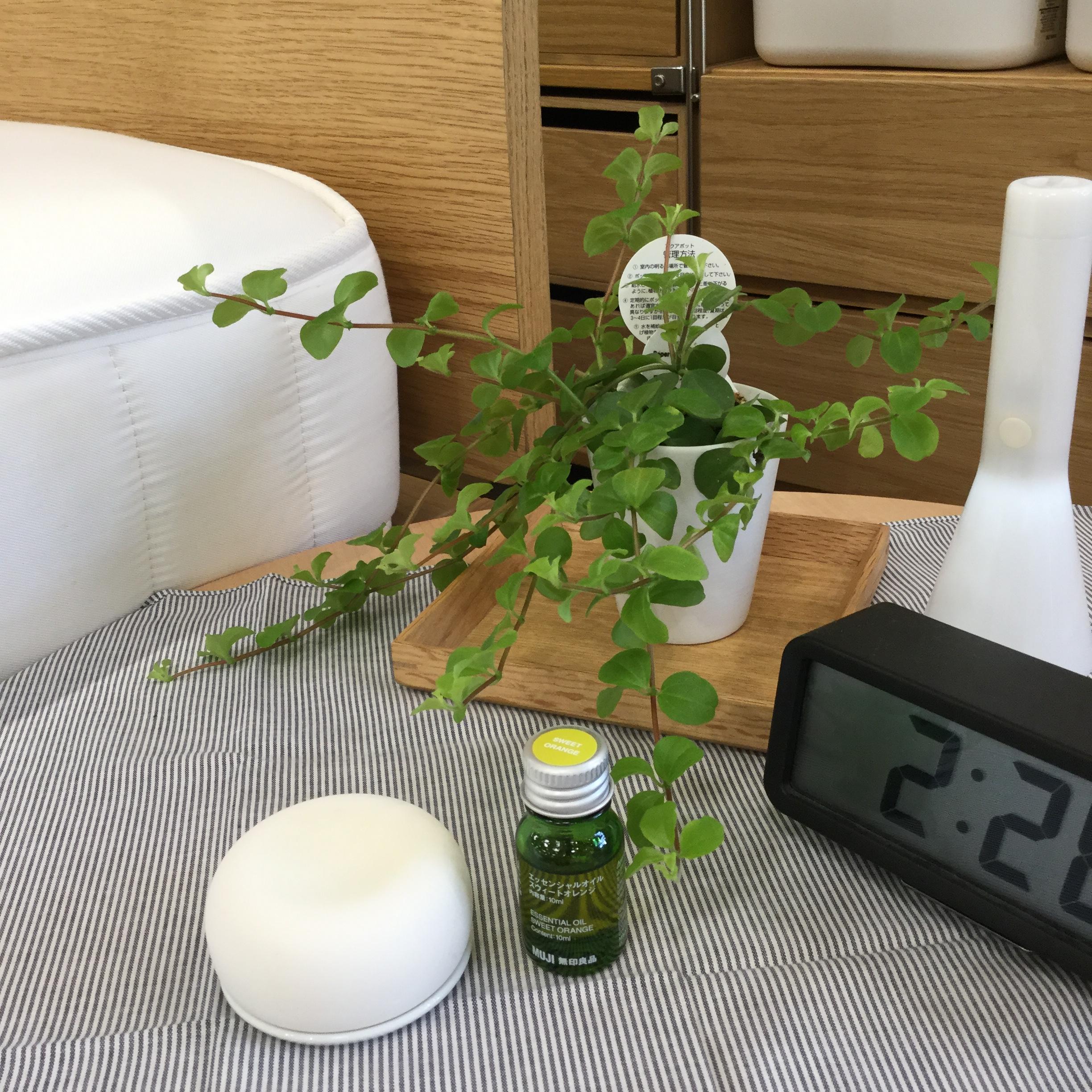 MUJI 無印良品 ストーン梨地　13点セット売り　廃番　希少シリーズ アロマストーン②.jpg