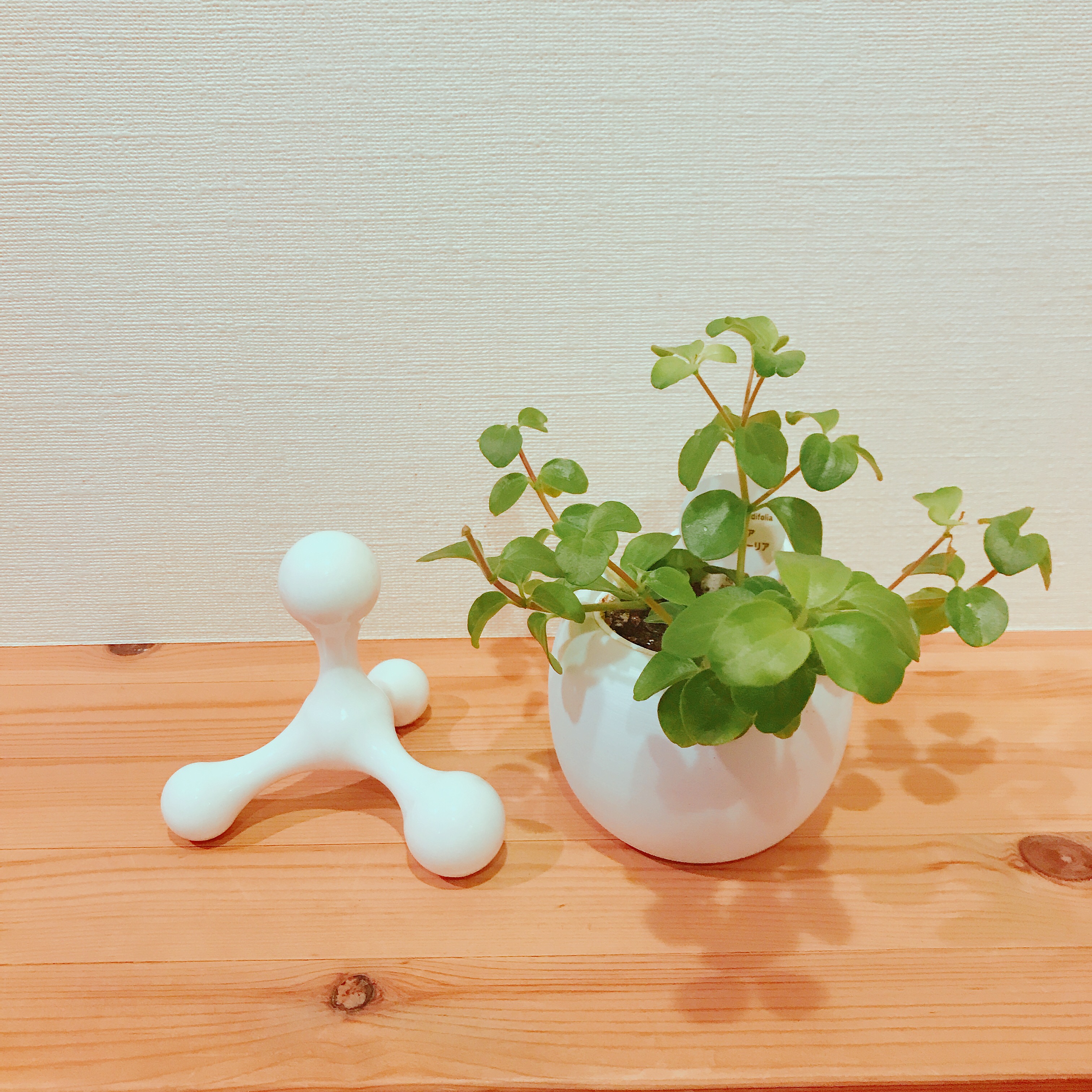 ユニモちはら台】ほぐしテトラ｜スタッフおすすめ｜無印良品 ユニモ