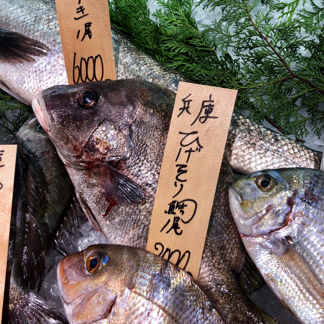 イオンモール堺北花田 鮮度抜群 兵庫から種類豊富に新鮮な魚が届きました 無印良品
