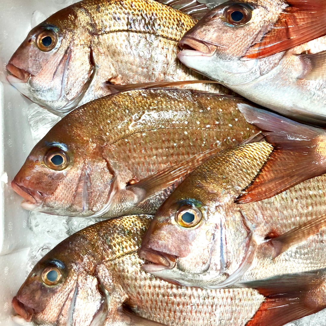 イオンモール堺北花田 鮮魚売場のアダさんが選ぶおすすめの魚ランキング 今年を振り返って 無印良品