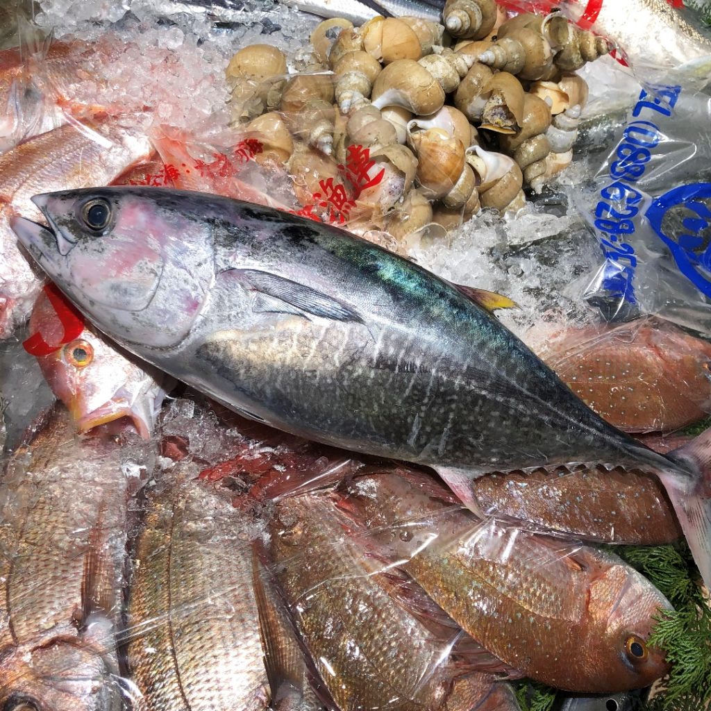 イオンモール堺北花田 もちもち食感がたまりません 鳥取県産 よこわ 刺身用 無印良品