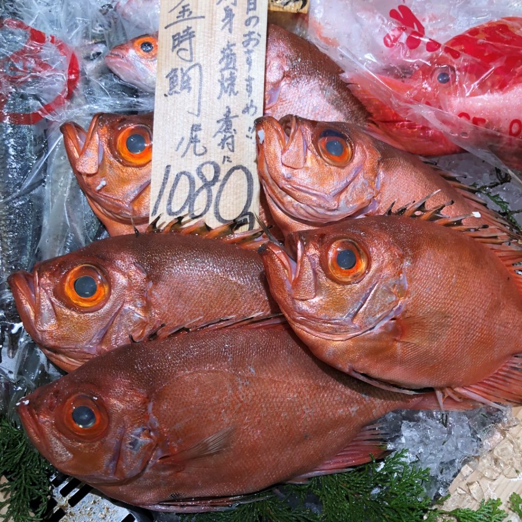 イオンモール堺北花田 きれいな赤色のお魚が入ってきました 鳥取県産 金時鯛 無印良品