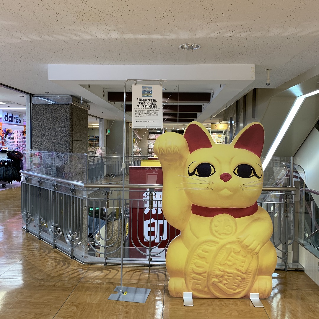 吉祥寺ロフト 吉祥寺ねこ祭り始まりました スタッフのおすすめ 無印良品