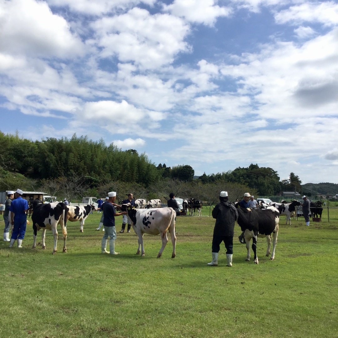 みんなみの里 嶺岡牧の麓で脈々と続いています 無印良品