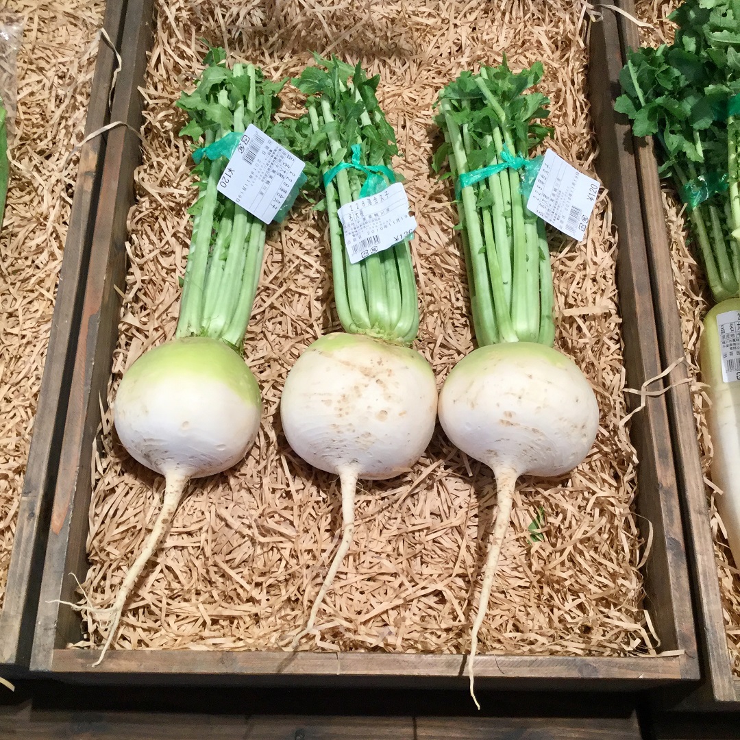 速報『朝採れ入荷情報 !! 』煮物にも漬物にもおすすめ「聖護院大根」 里のMUJI みんなみの里