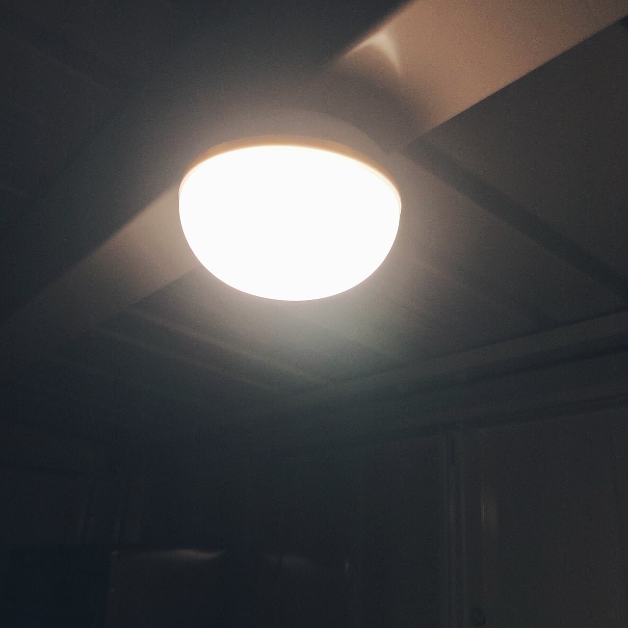 高松】この子、優れモノなんです｜ 無印良品